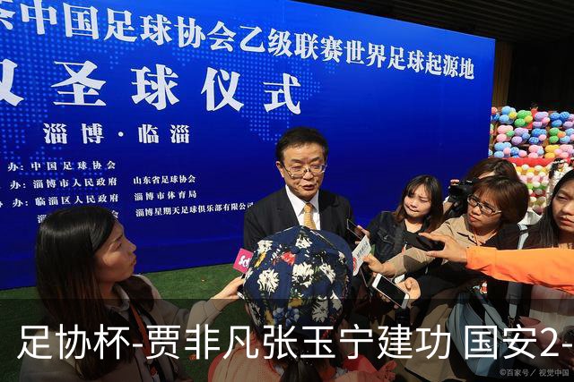 足协杯-贾非凡张玉宁建功 国安2-1大连可为晋级8强