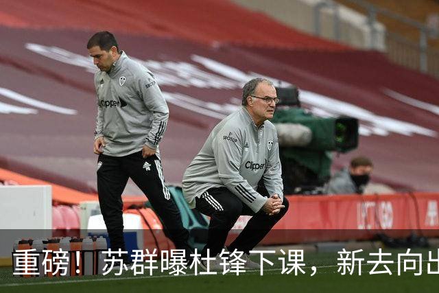 重磅！苏群曝杜锋下课，新去向出炉，球迷喊话杨鸣接手，能行吗？